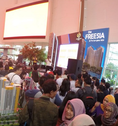 the-freesia-expo-2016-6a