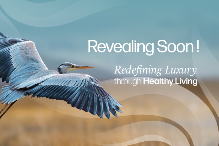  Revealing Soon Cluster Heron 