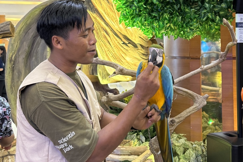  Agenda Weekend di Kelapa Gading 24–25 Oktober, Ada Pertunjukan Internasional hingga Animal Corner di Summarecon Expo 2026 