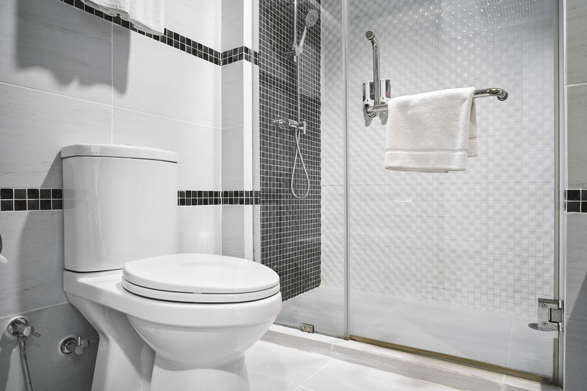  Jangan Anggap Remeh Kualitas Toilet! Simak Alasannya 