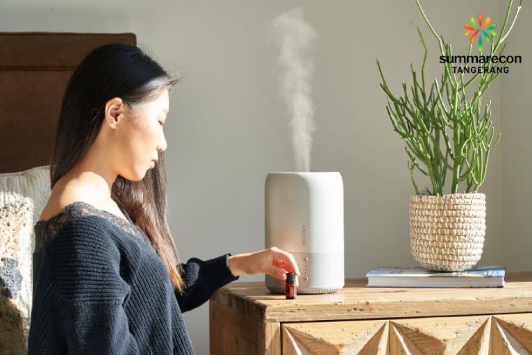  Beda Humidifier dan Dehumidifier: Fungsi dan Cara Kerjanya 