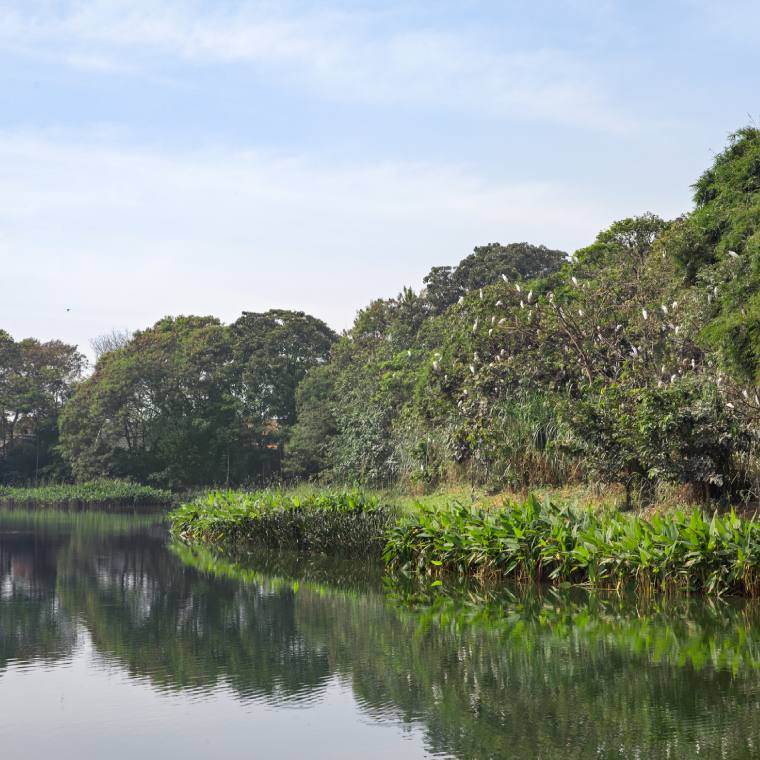https://images-residence.summarecon.com/images/gallery/article/16075/Danau-Belekok-02.jpg